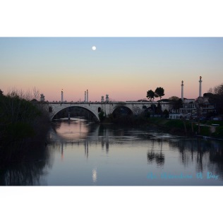 Sunset over the Ponte Flaminia - probably my favorite non-pedestrian bridge in Rome. I love the reflections of the statues in the Tiber, and catching it in the glow of the evening - pure magic!